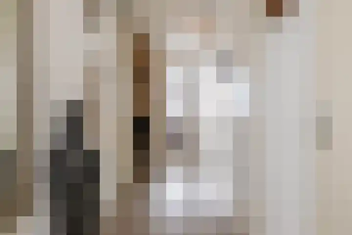 Fortunadreef 161 Utrecht thumbnail 15