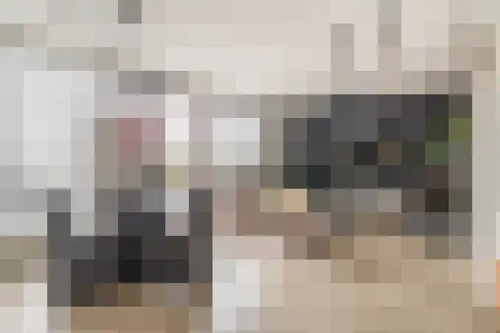 Fortunadreef 161 Utrecht thumbnail 16