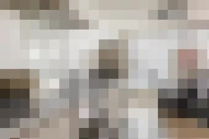 Fortunadreef 161 Utrecht thumbnail 24