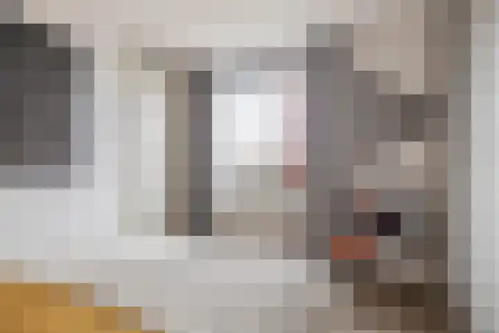 Fortunadreef 161 Utrecht thumbnail 31