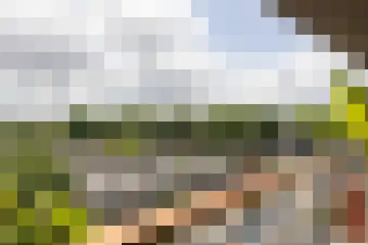Fortunadreef 57 Utrecht thumbnail 30
