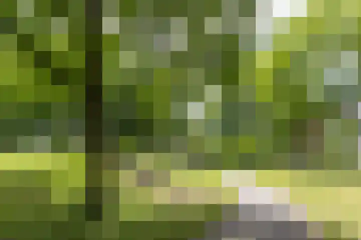 Fortunadreef 57 Utrecht thumbnail 47