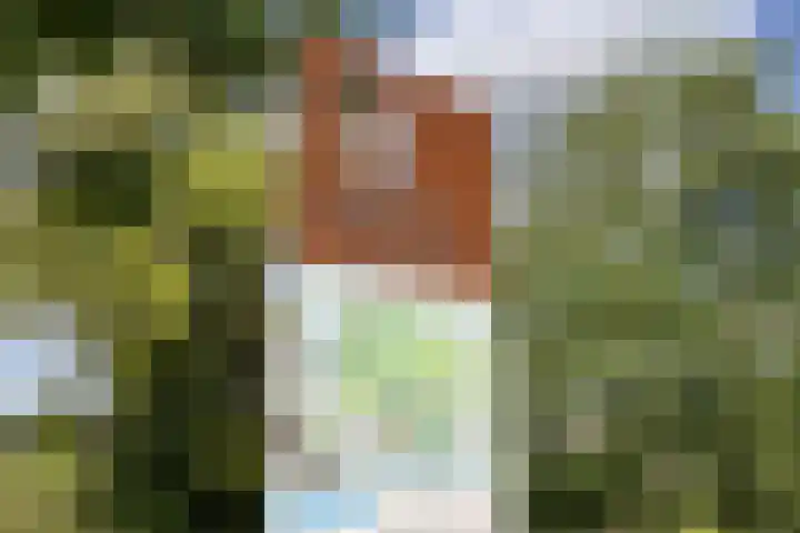 Fortunadreef 57 Utrecht thumbnail 48