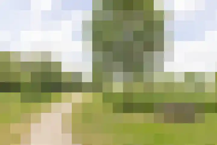 Fortunadreef 57 Utrecht thumbnail 49