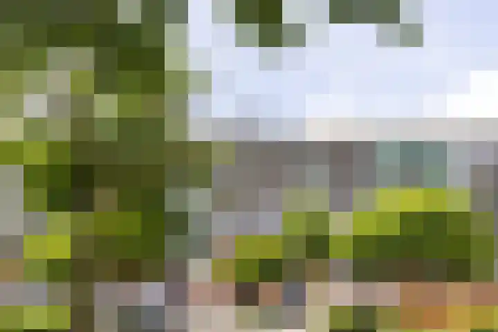 Fortunadreef 57 Utrecht thumbnail 52