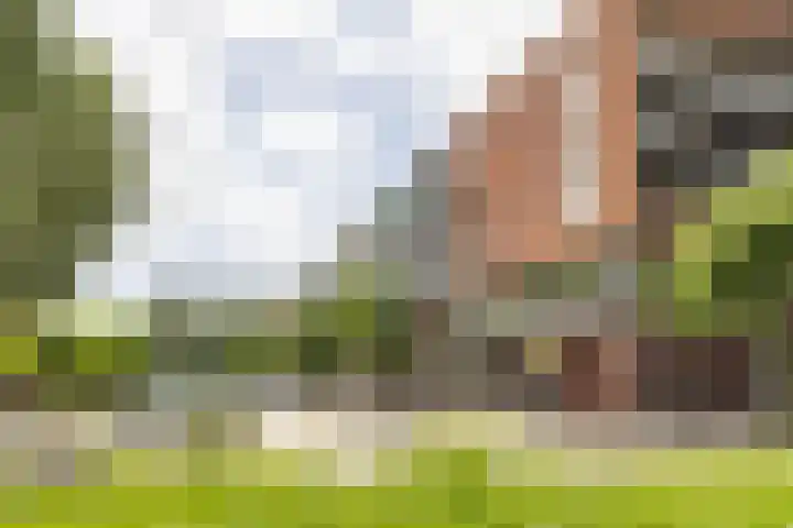 Fortunadreef 57 Utrecht thumbnail 6