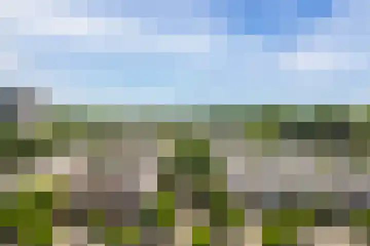 Fortunadreef 73 Utrecht thumbnail 21