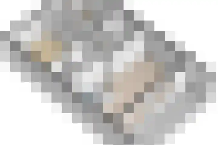 Fortunadreef 73 Utrecht thumbnail 45