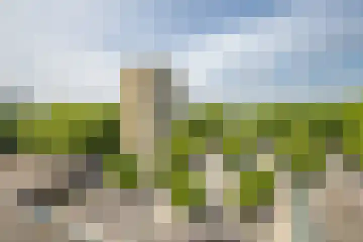 Fortunadreef 73 Utrecht thumbnail 6
