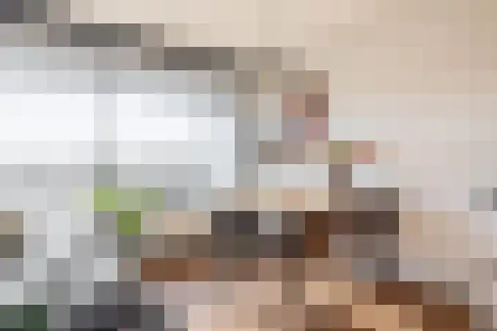 Fortunadreef 79 Utrecht thumbnail 11