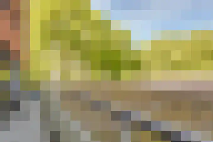 Fortunadreef 91 Utrecht thumbnail 27