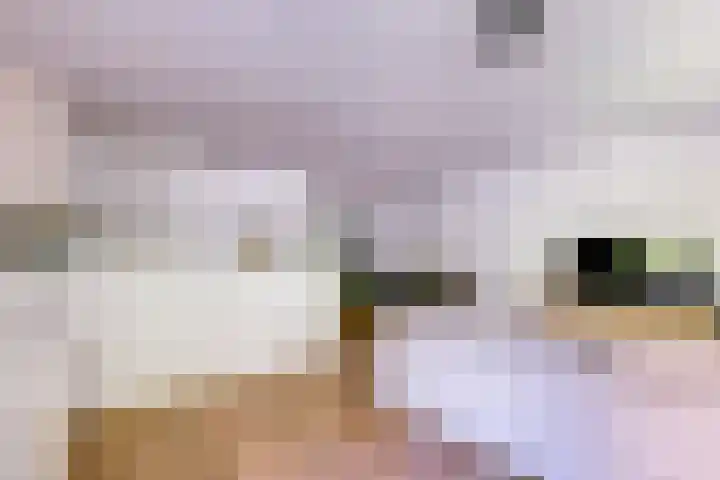 Fortunadreef 91 Utrecht thumbnail 9