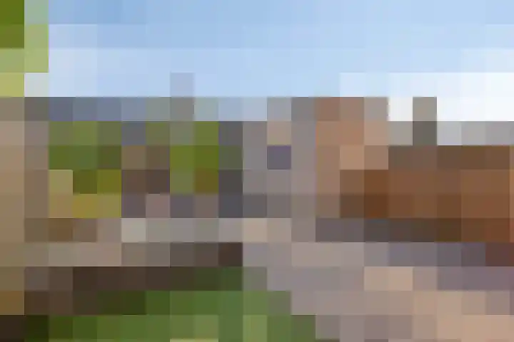 Fortunalaan 124 Apeldoorn thumbnail 14