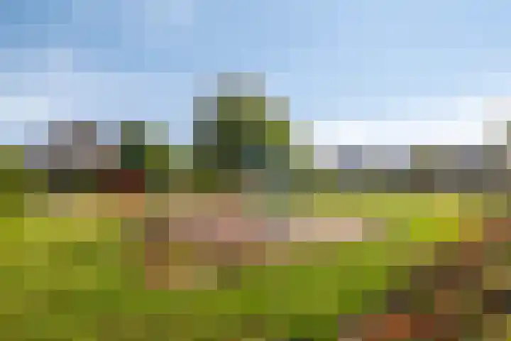 Fortunalaan 124 Apeldoorn thumbnail 27