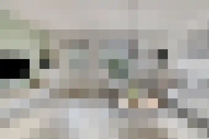 Fortunalaan 124 Apeldoorn thumbnail 7