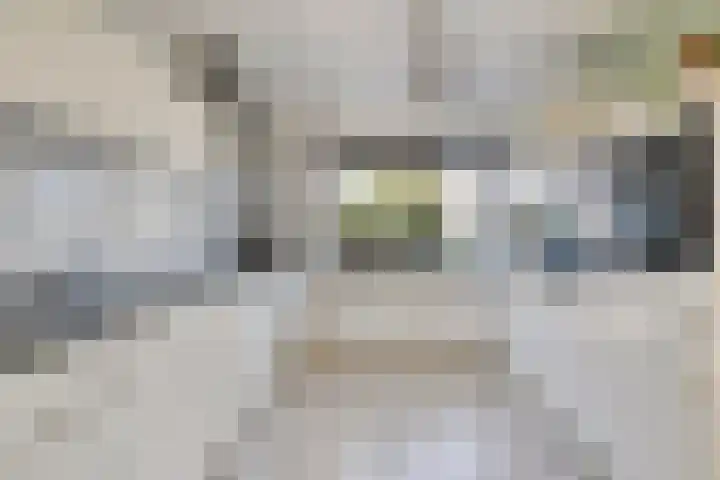 Fortunalaan 124 Apeldoorn thumbnail 9