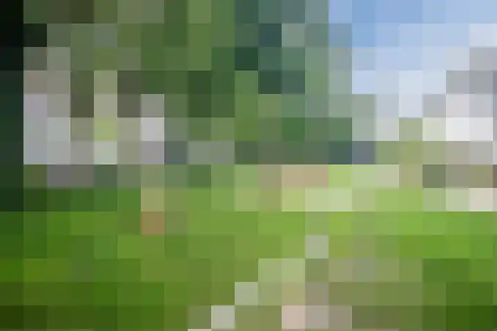Fortunalaan 94 Apeldoorn thumbnail 41