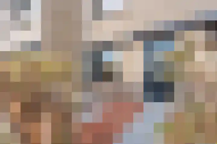 Fortunalaan 96 Apeldoorn thumbnail 31