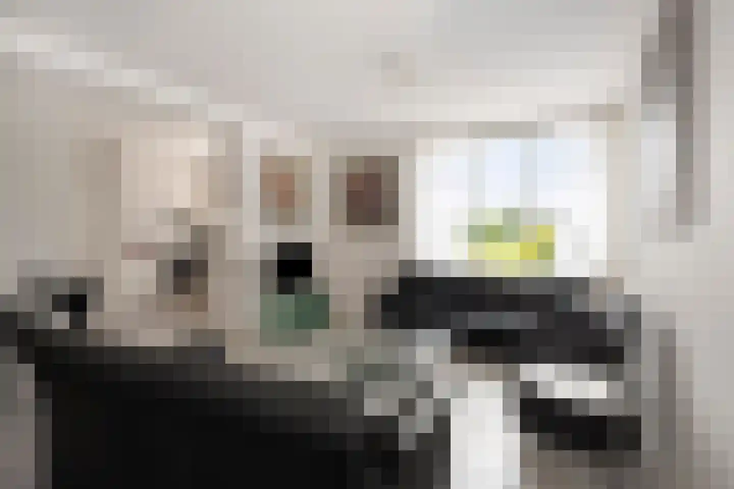 Fortunapark 8 Geleen thumbnail 4