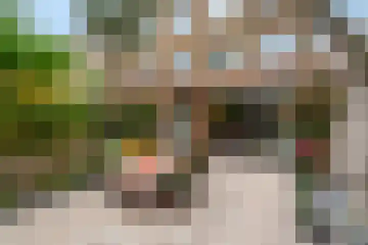 Fortunastraat 8 Rotterdam thumbnail 10