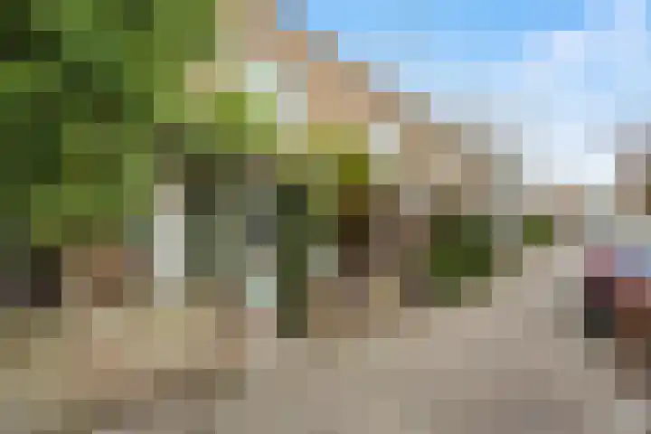 Fortunastraat 8 Rotterdam thumbnail 23