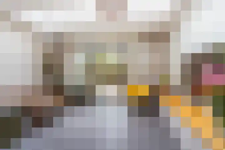 Fortunastraat 8 Rotterdam thumbnail 6