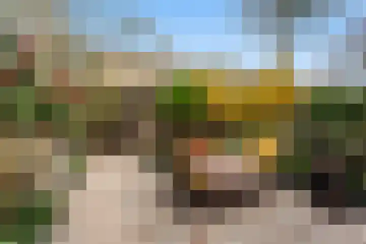 Fortunastraat 8 Rotterdam thumbnail 8