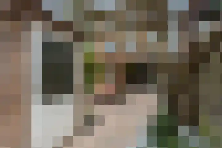 Fortunastraat 8 Rotterdam thumbnail 9