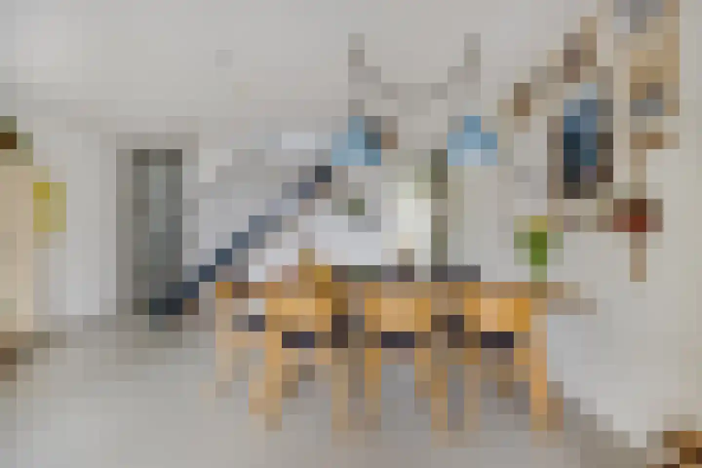 Fortunaweg 16 Leiden thumbnail 10