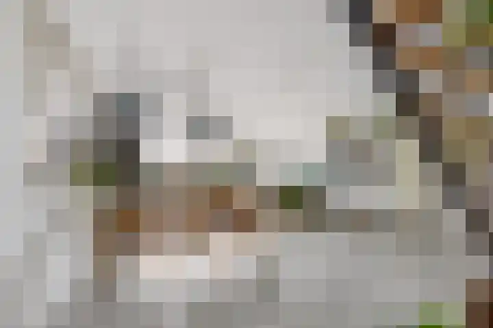 Fortunaweg 16 Leiden thumbnail 11