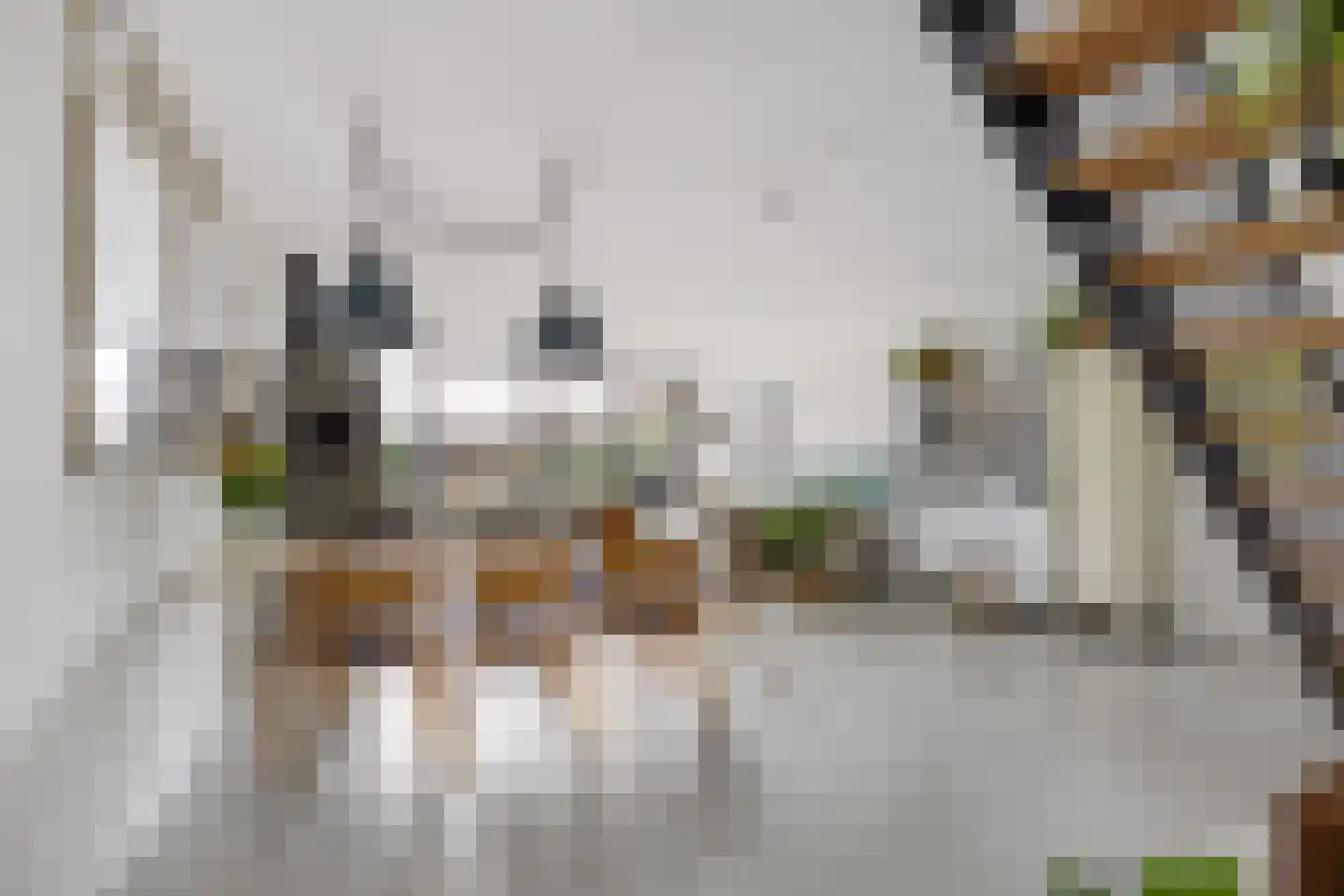 Fortunaweg 16 Leiden thumbnail 11