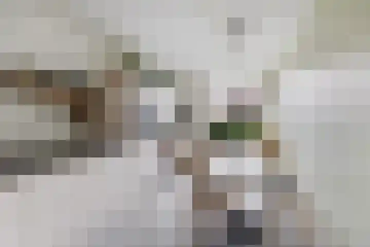 Fortunaweg 16 Leiden thumbnail 12