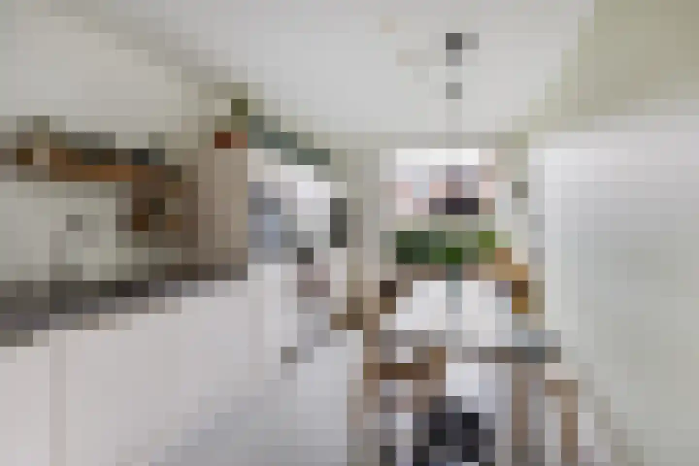 Fortunaweg 16 Leiden thumbnail 12
