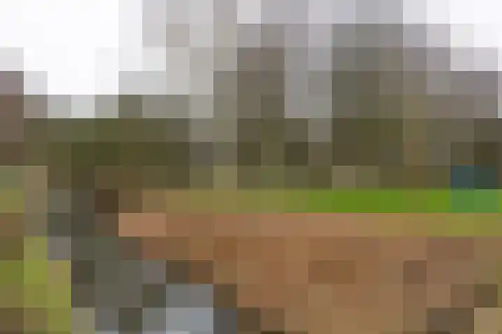 Fortunaweg 16 Leiden thumbnail 30
