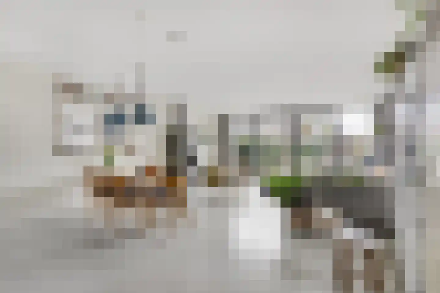 Fortunaweg 16 Leiden thumbnail 5