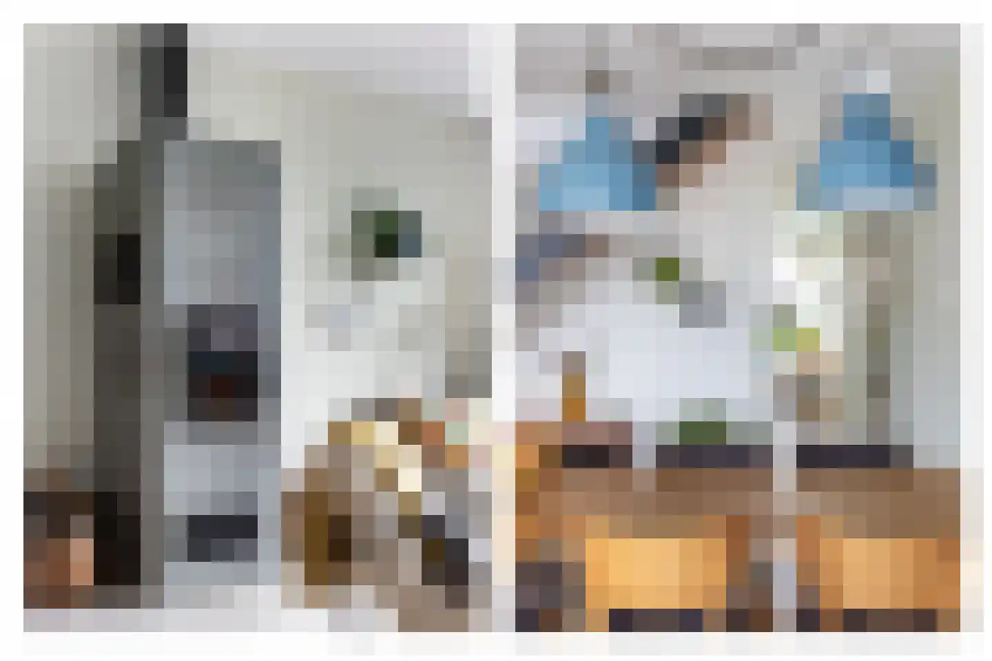 Fortunaweg 16 Leiden thumbnail 9