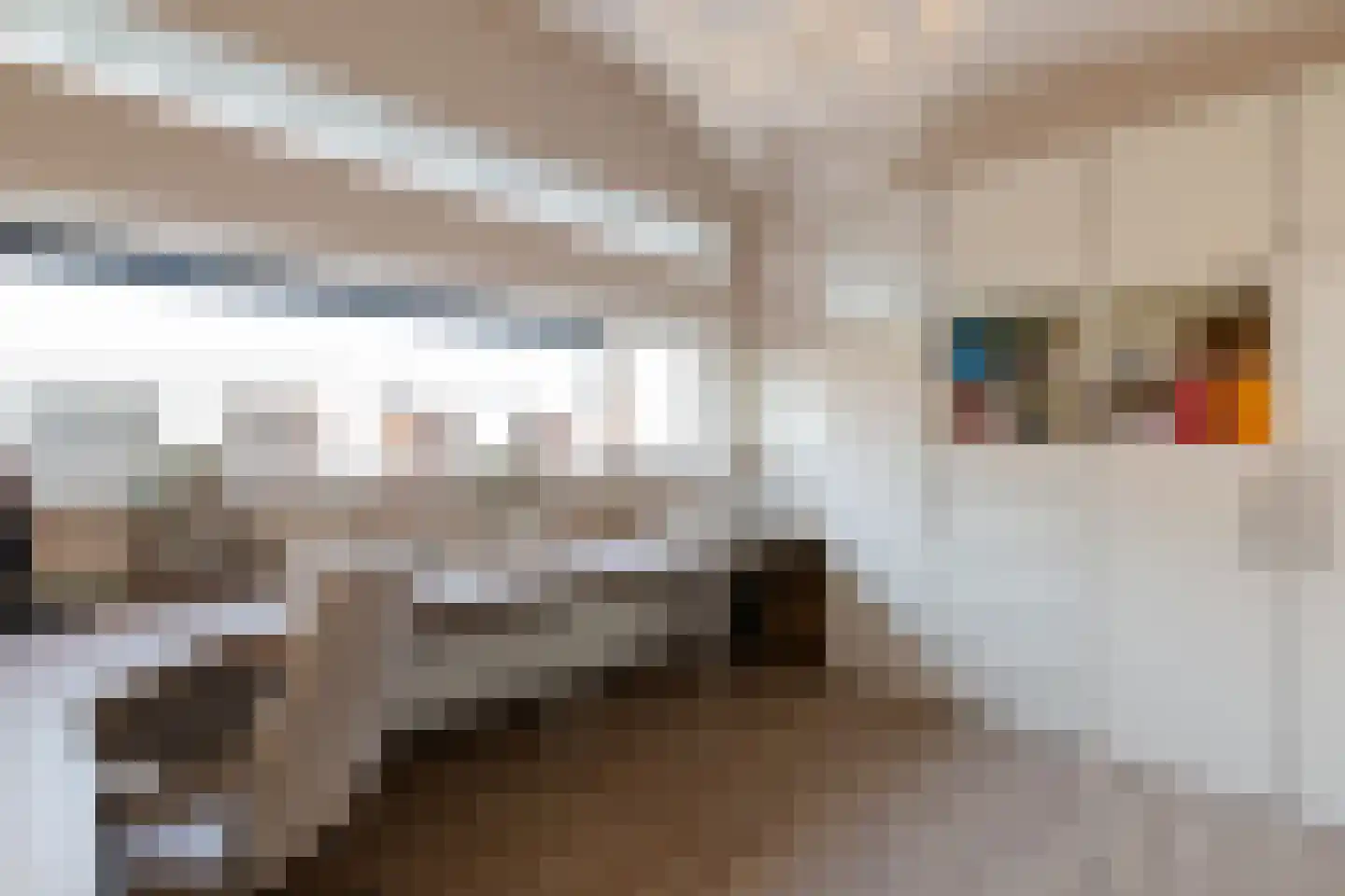 Fortuyn 6 Lelystad thumbnail 28