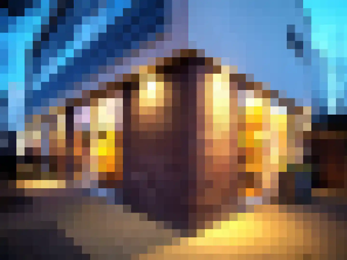 Fortuyn 6 Lelystad thumbnail 53