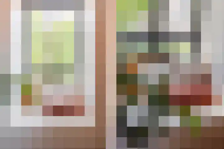 Fortuynhof 12 Breda thumbnail 22