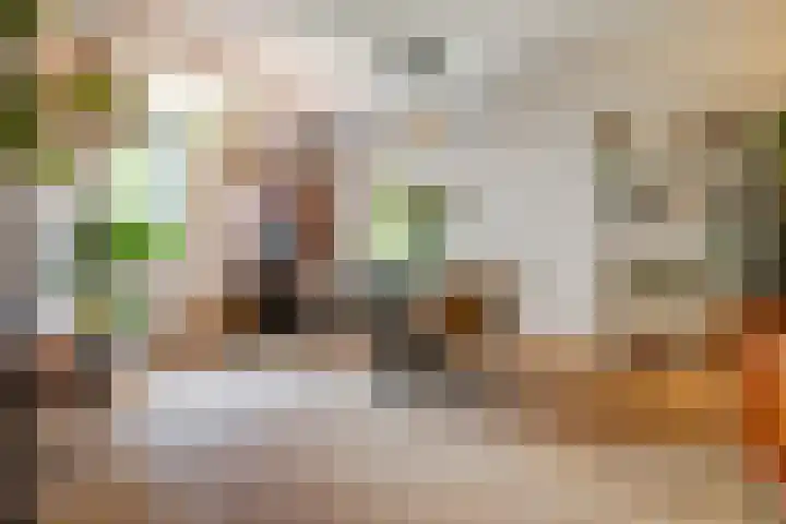 Fortuynhof 12 Breda thumbnail 8