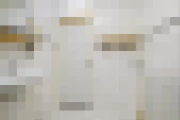 Fortuynhof 4 Breda thumbnail 22