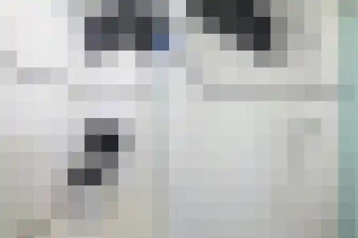 Fortuynhof 4 Breda thumbnail 23