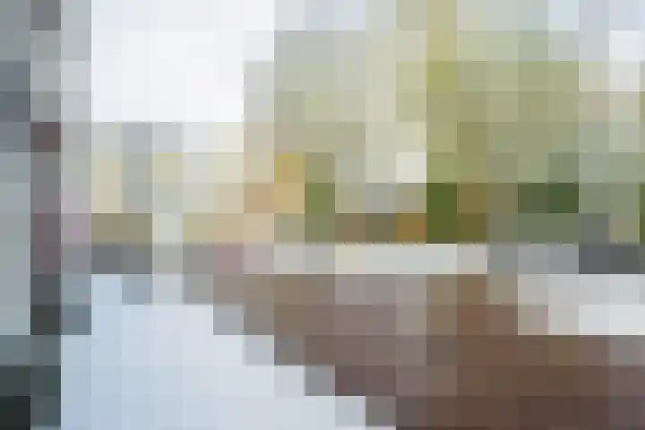 Fortuynhof 4 Breda thumbnail 32