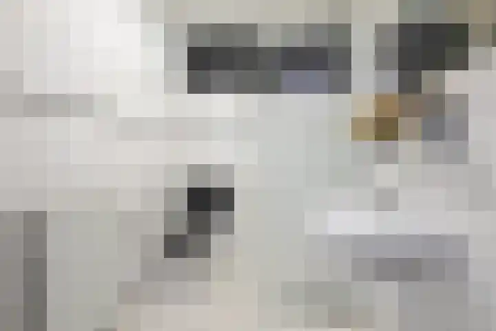 Fortuynhof 4 Breda thumbnail 5
