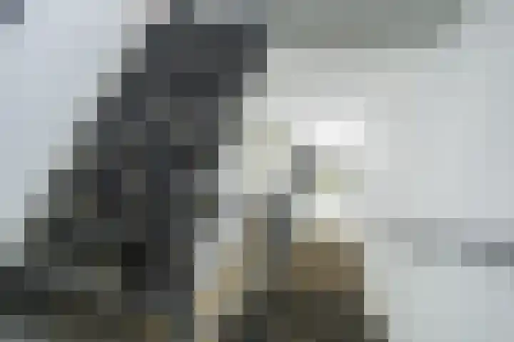 Fortuynhof 4 Breda thumbnail 8