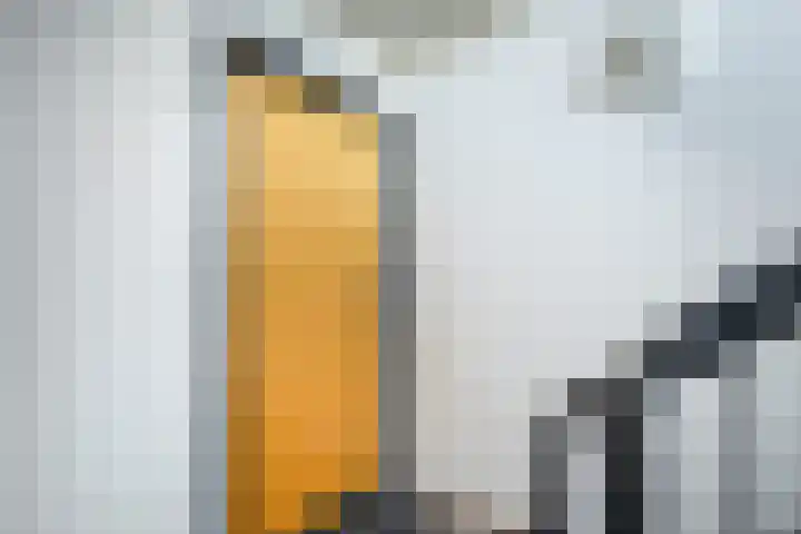 Fortuynhof 4 Breda thumbnail 9