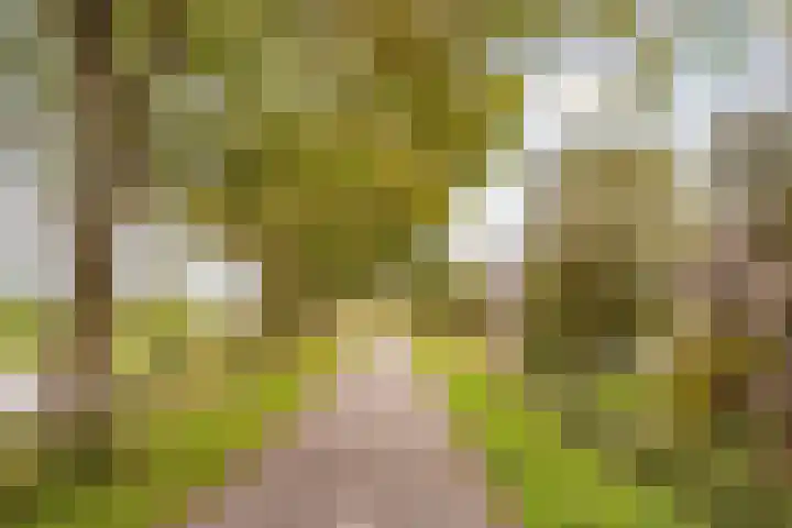 Fortwachter 34 Vijfhuizen thumbnail 10