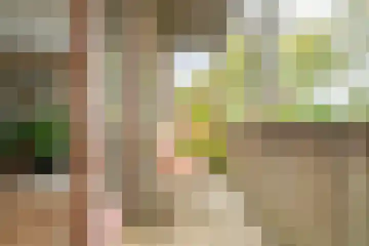 Fortwachter 34 Vijfhuizen thumbnail 11