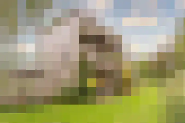 Fortwachter 34 Vijfhuizen thumbnail 12