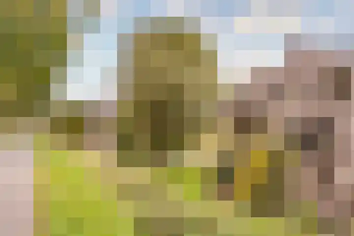 Fortwachter 34 Vijfhuizen thumbnail 13